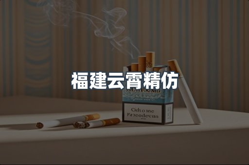 福建云霄精仿